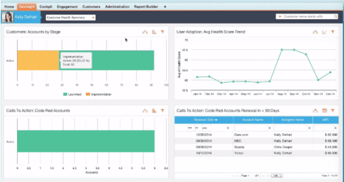 Gainsight on Gainsight: The Chief Customer Officer's Dashboard ...