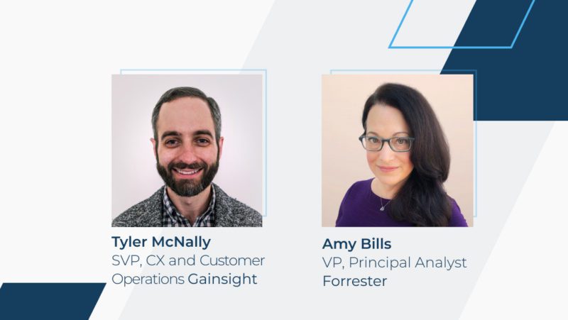 Webinar – Customer Experience and Customer Success: Connecting Insights to Create Ideal Experiences thumbnail