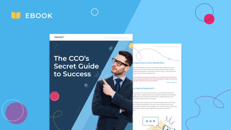 The CCO’s Secret Guide to Success eBook thumbnail